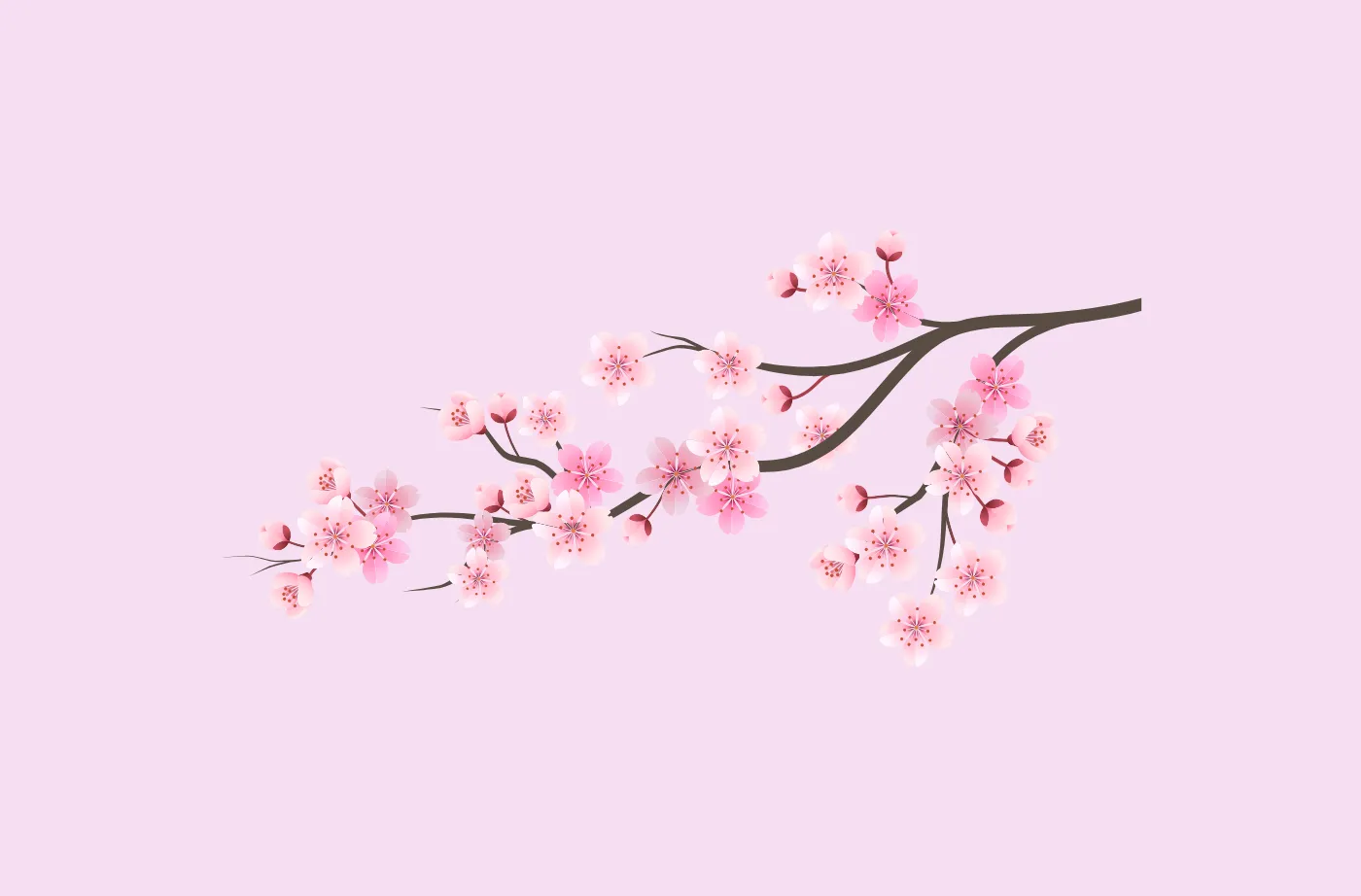 五分咲き よもやま話(その3)